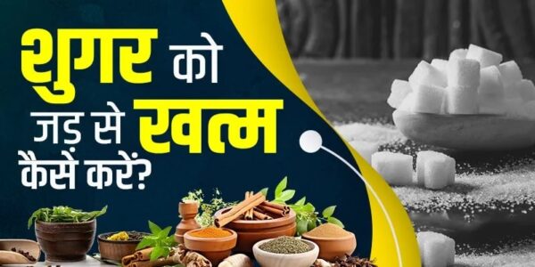 शुगर के मरीजो के लिए वेल हेल्थ सप्लीमेंट उपयोग करने की विधि